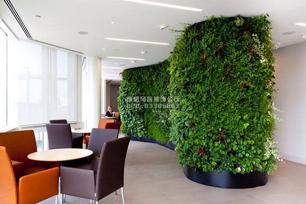 辦公室裝修完以后擺放什么綠植好？